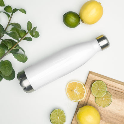 Omni stainless steel water bottle